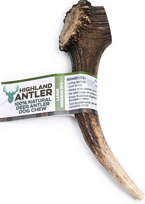 Antler (Large)
