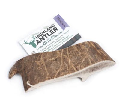 Antler Fallow (Medium)