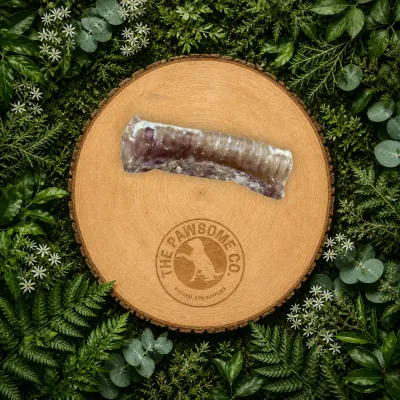 12cm Beef Trachea Dog Treat – Natural Dental Chew for Dogs