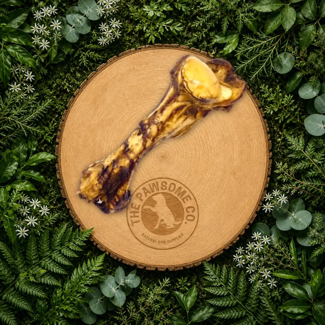 Jurassic Bone Dog Chew – Long-Lasting Natural Beef Bone