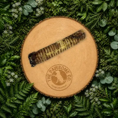 24cm Beef Trachea Dog Treat – Natural Long-Lasting Dental Chew