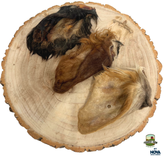 Hairy Cow Ear - 25pcs