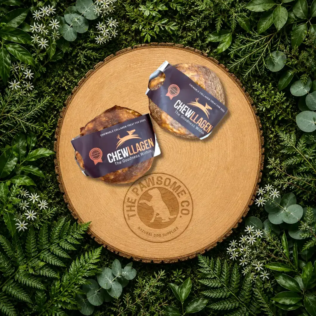 Chewllagen Beef Donut 3.5" – Collagen Dog Chew