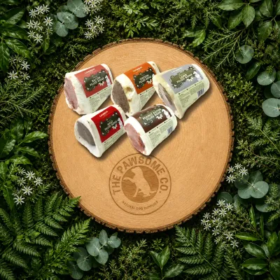 T. Forrest Filled Bone Dog Chew – Long-Lasting Treat | 5 Flavours