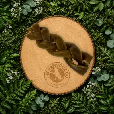 Camel Skin Braid 30cm Dog Treat (Natural Long Lasting Chew)
