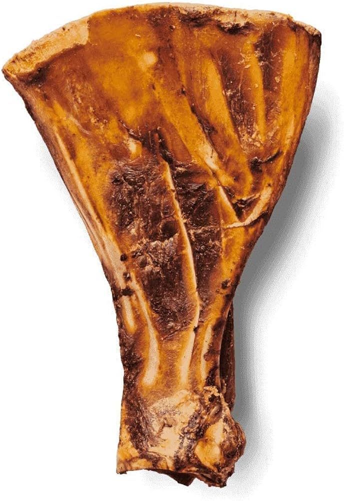 Paddle Bone X 2