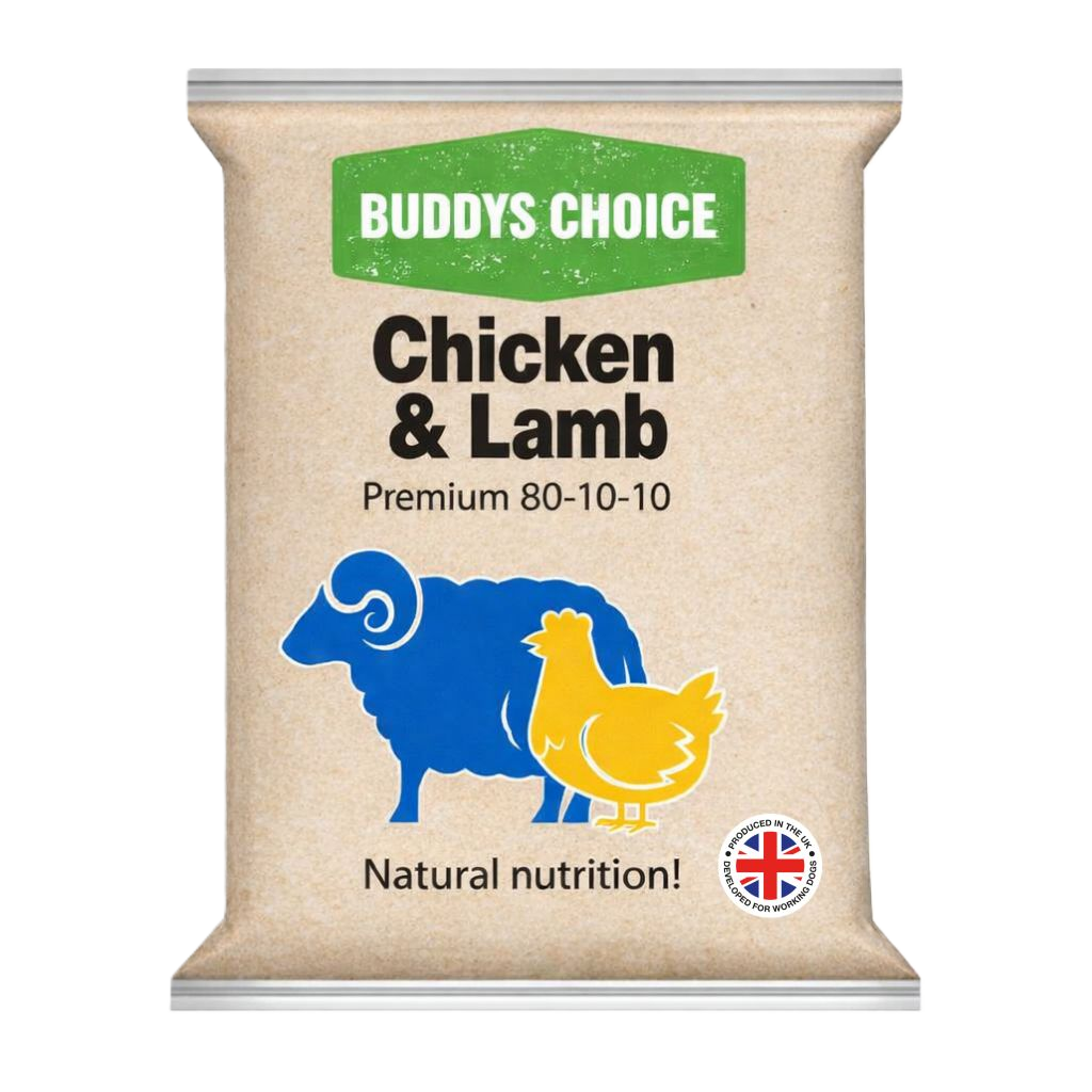Chicken &amp; Lamb - Buddy's Choice