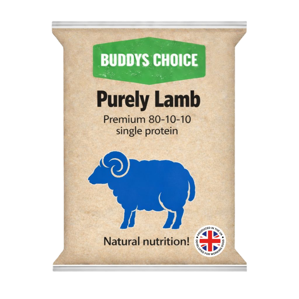Lamb - Buddy's Choice (Single Protein)