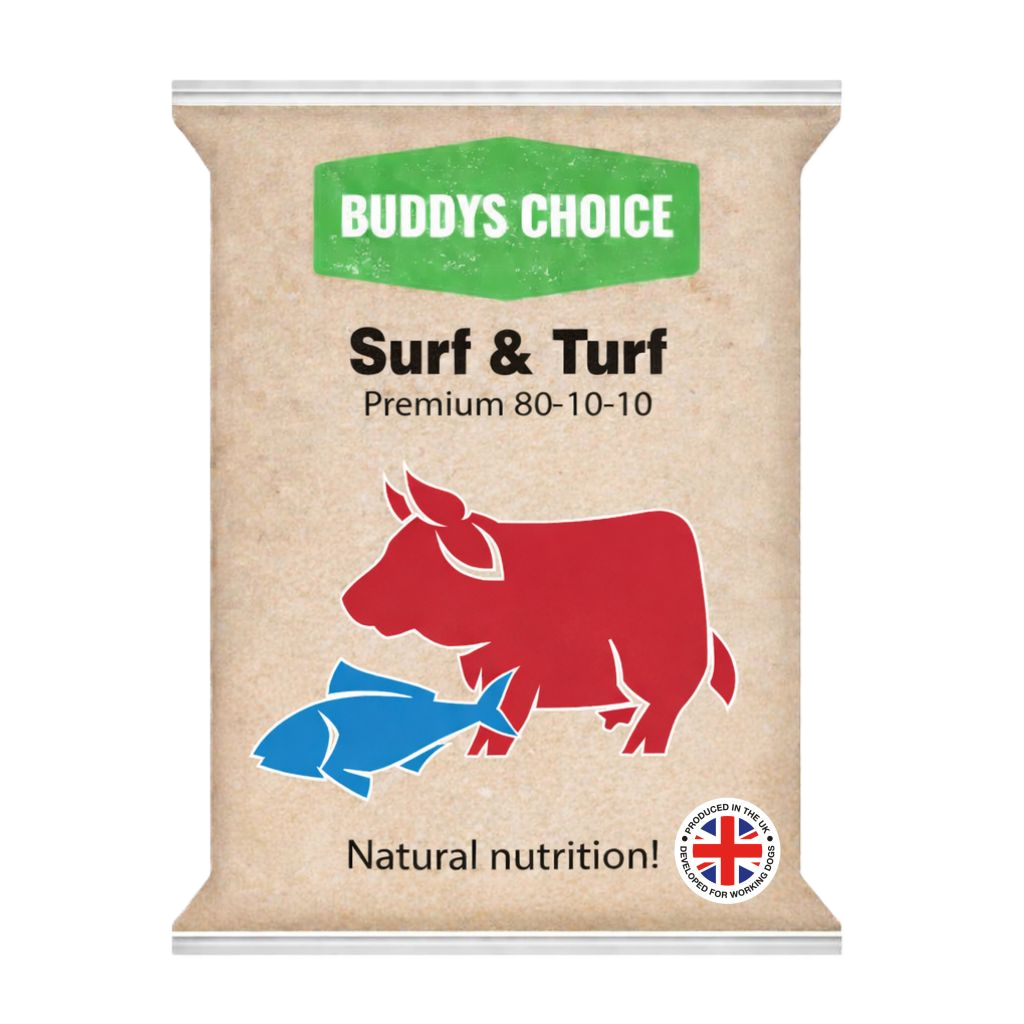 Surf &amp; Turf - Buddy's Choice