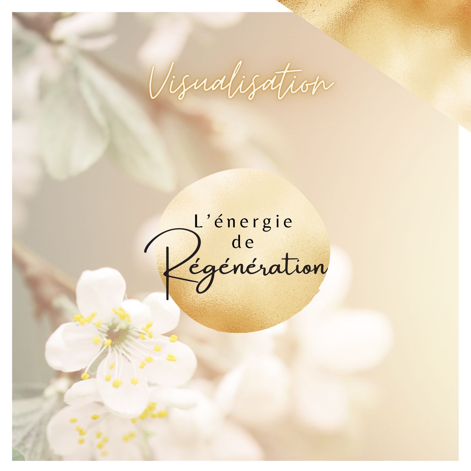 Régénération Régénération