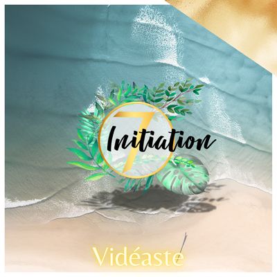 Vidéaste
