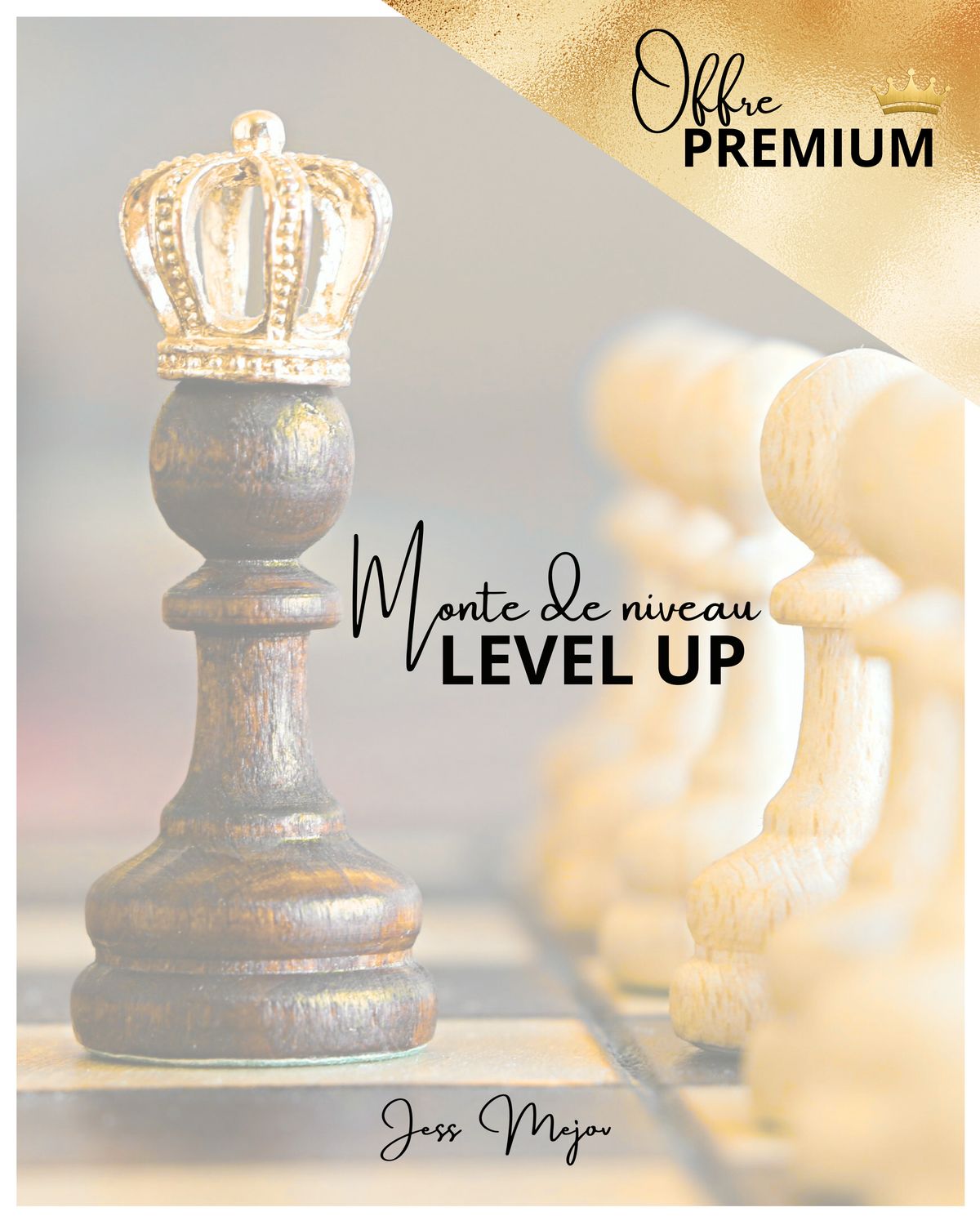 LEVEL UP - PREMIUM