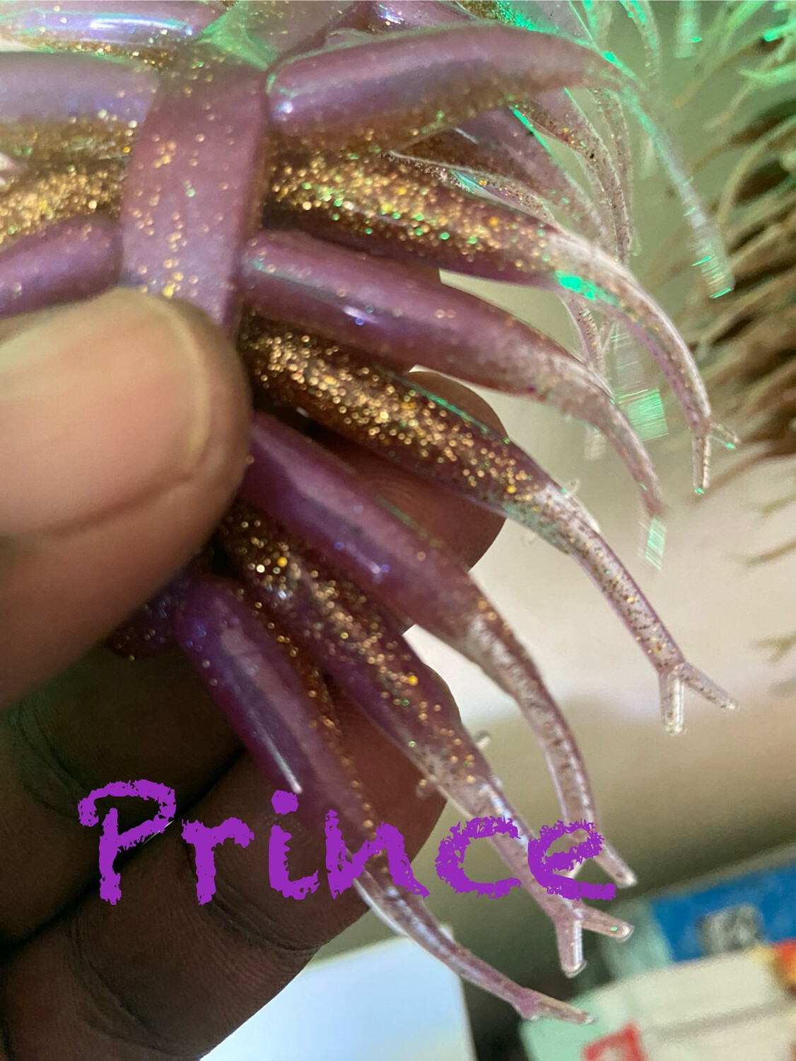 Prince
