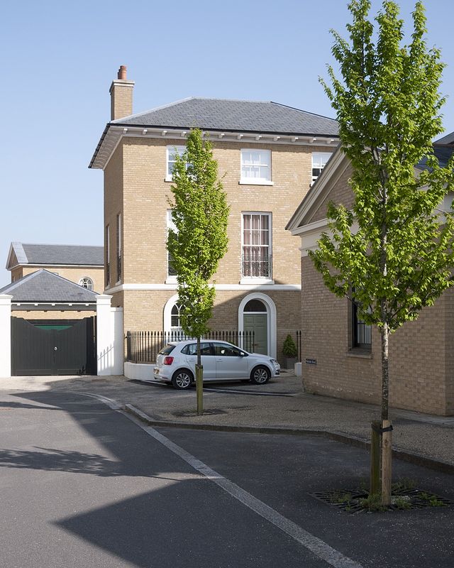 Upright Hornbeam tree for sale UK