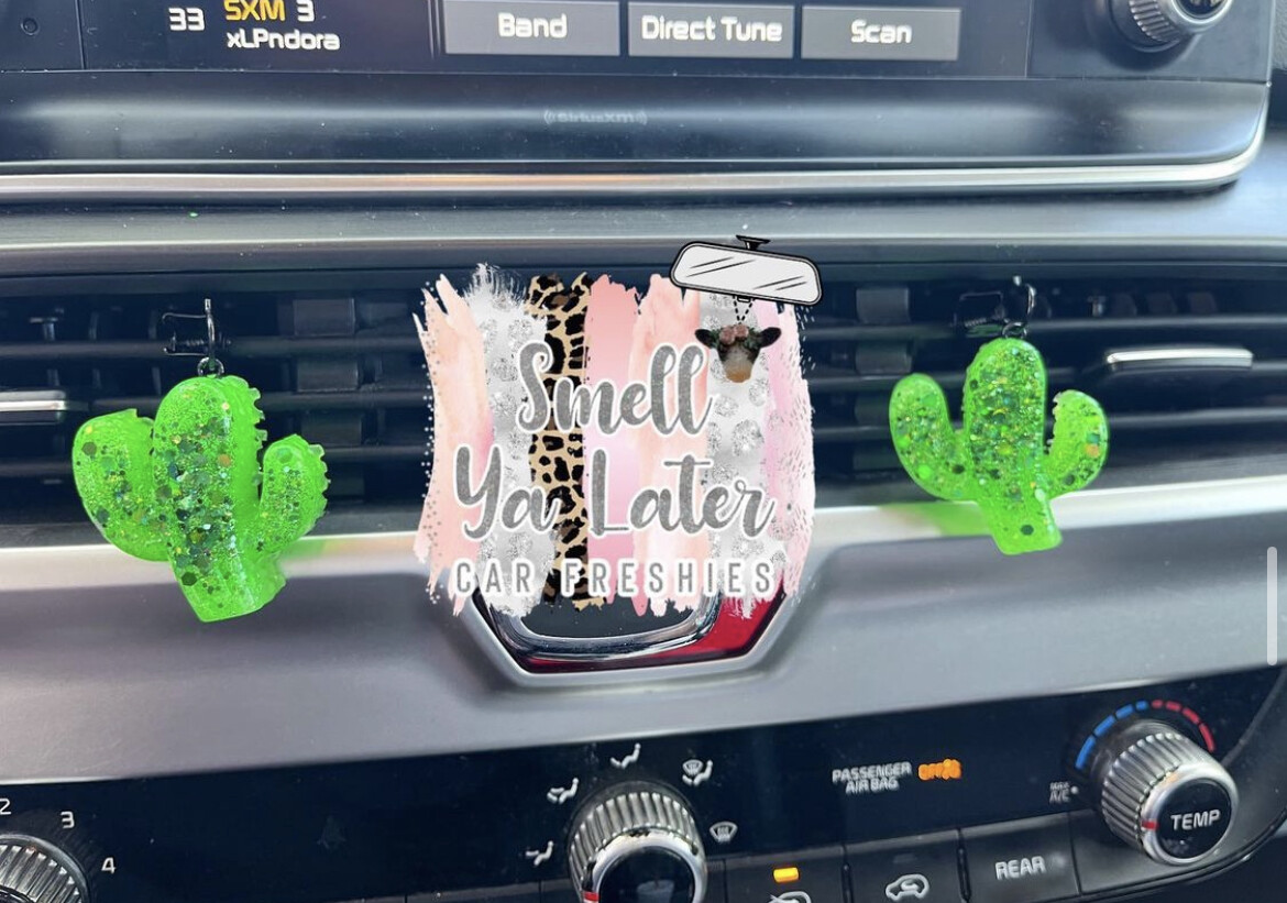 Cactus Vent Clips