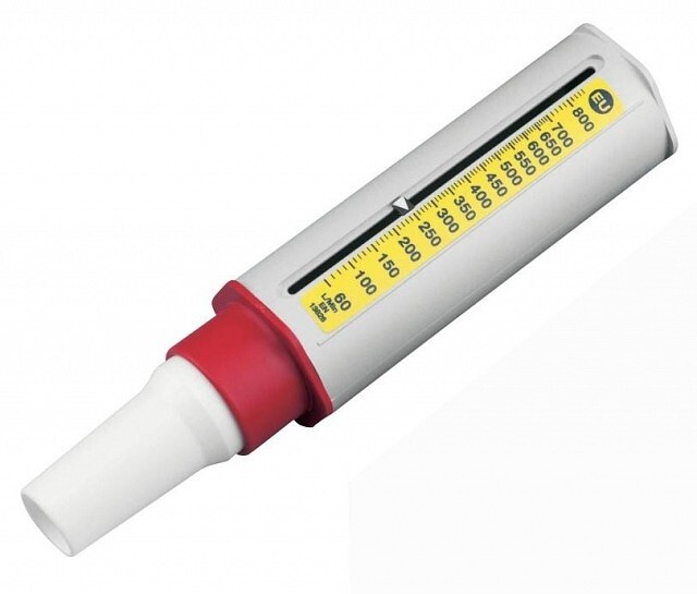 Misuratore di picco di flusso mini wright standard