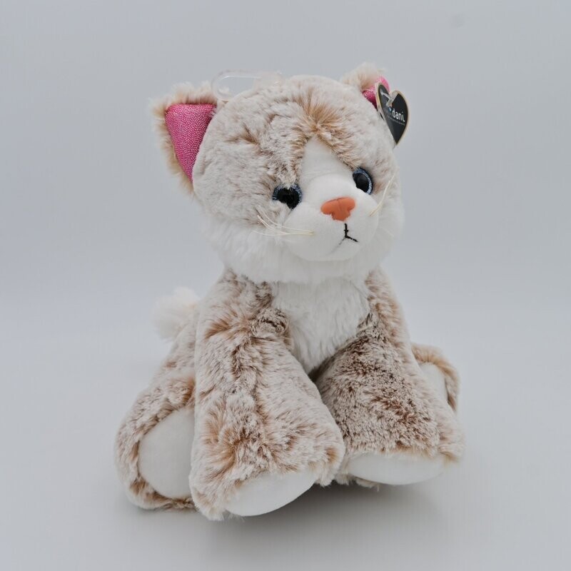 Gatto - grande