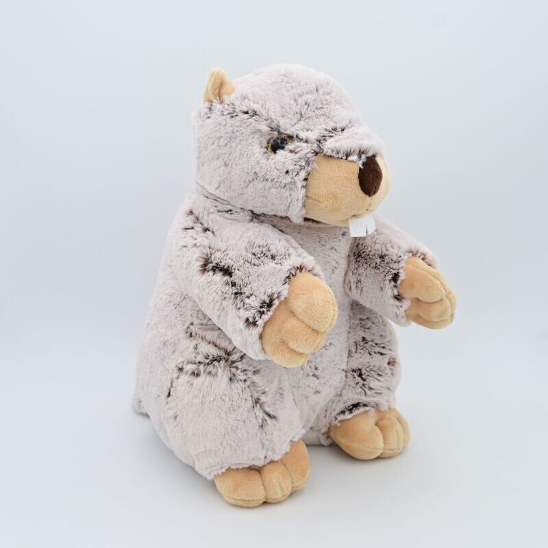 Marmotta