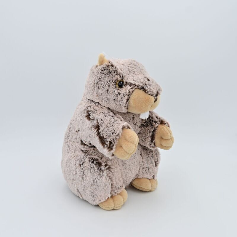 Marmotta - grande