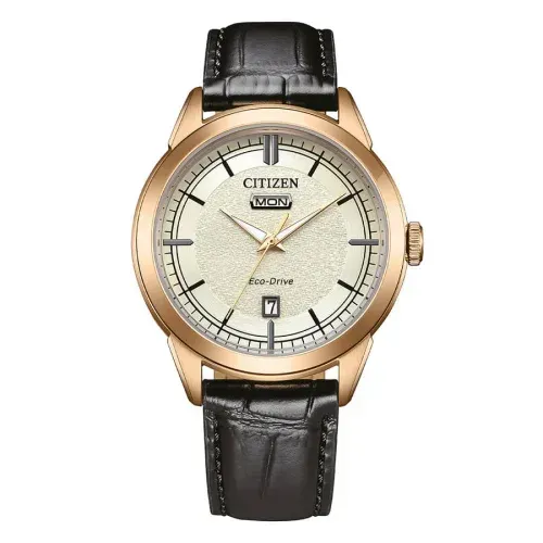Citizen Day-Date AW0153-04A orologio eco-drive solo tempo uomo