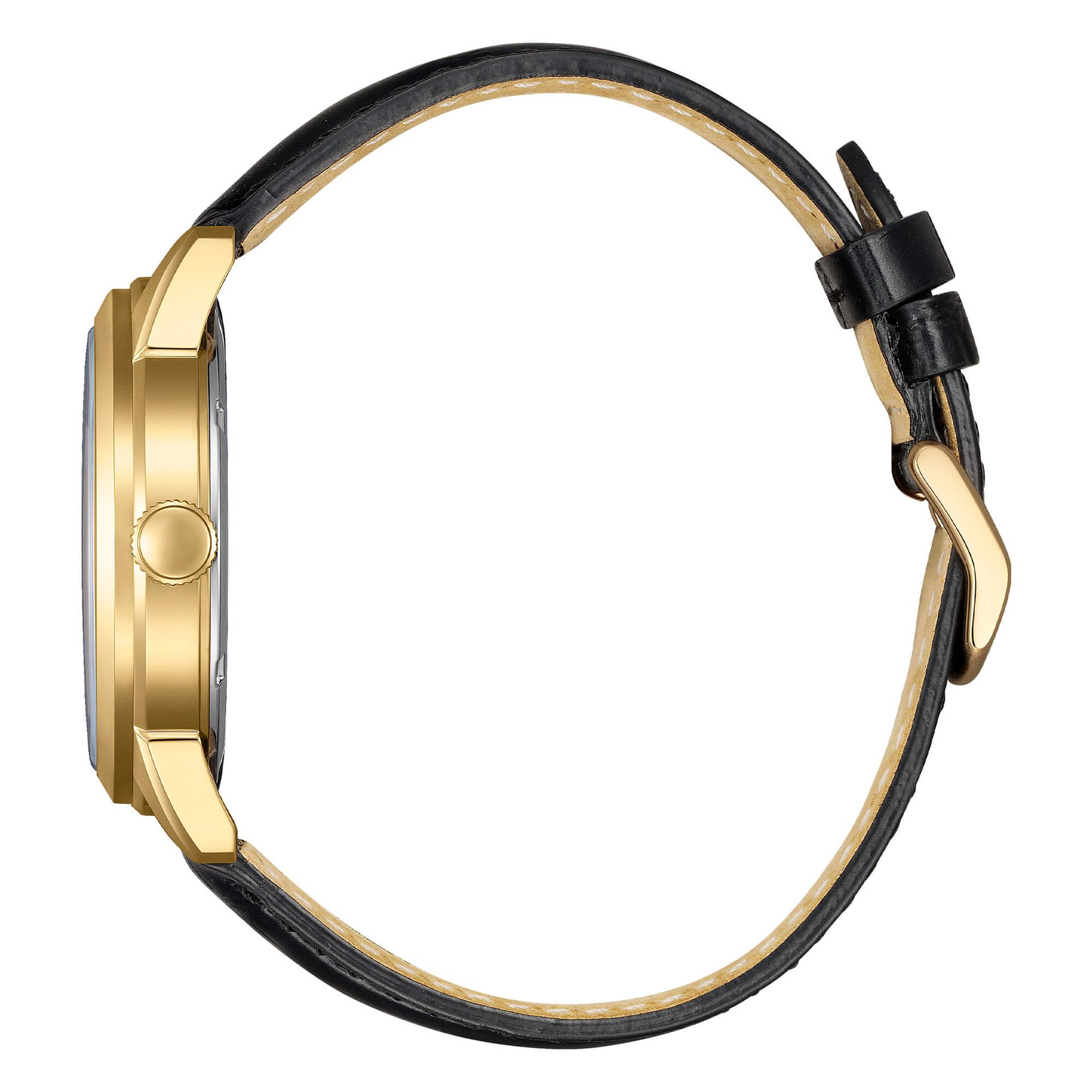 Citizen Day-Date AW0153-04A orologio eco-drive solo tempo uomo