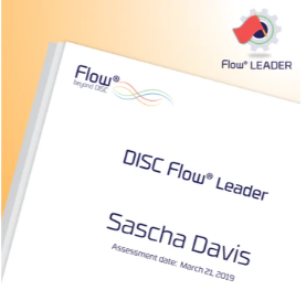 DISC Flow Leader Report + 1:1 Debrief