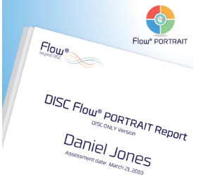 DISC Portrait Report + 1:1 Debrief