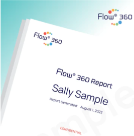 DISC Flow 360 Report