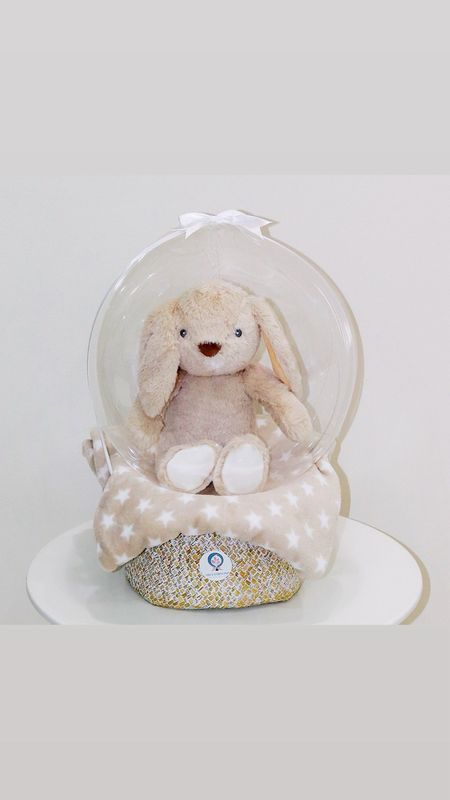 Teddy In Bubble M