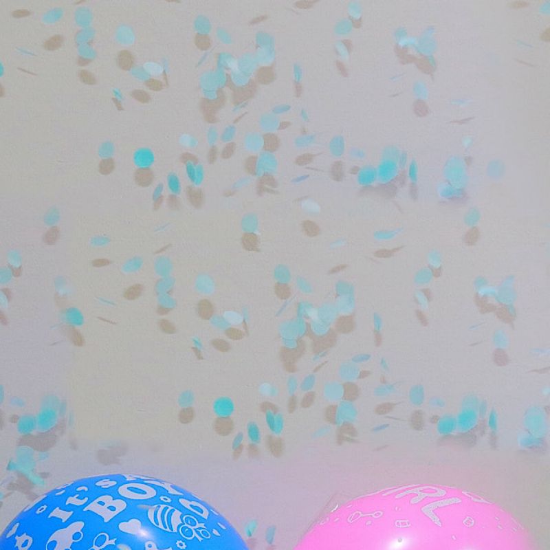 Gender Reveal 2