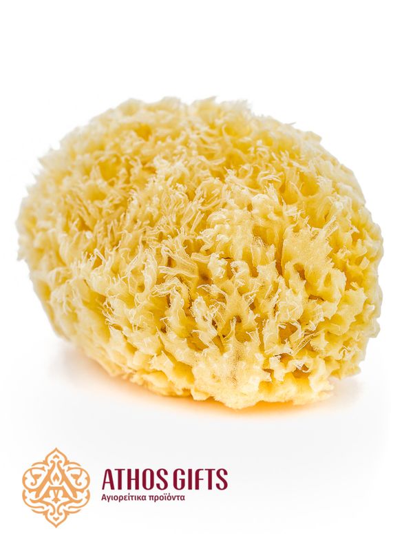 Mediterranean Sponge for Chalice