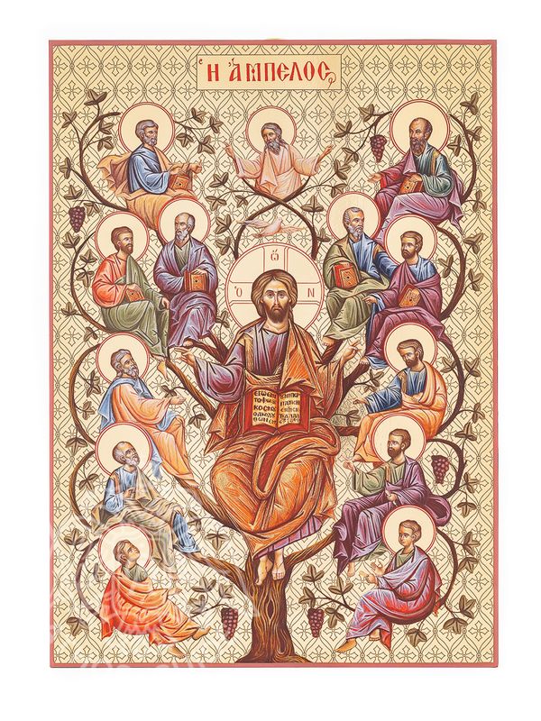 Jesus Christ | The Vine