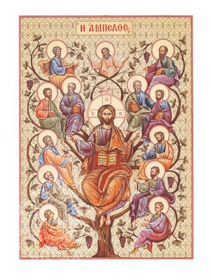 Jesus Christ | The Vine