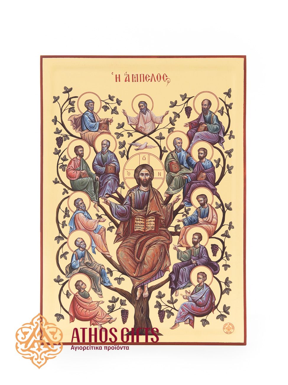 Jesus Christ | The Vine