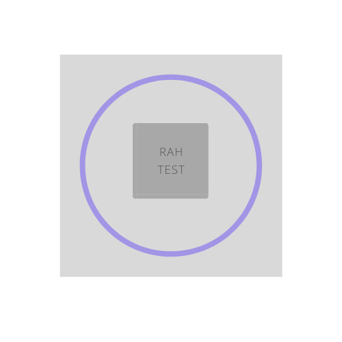 RAH TEST