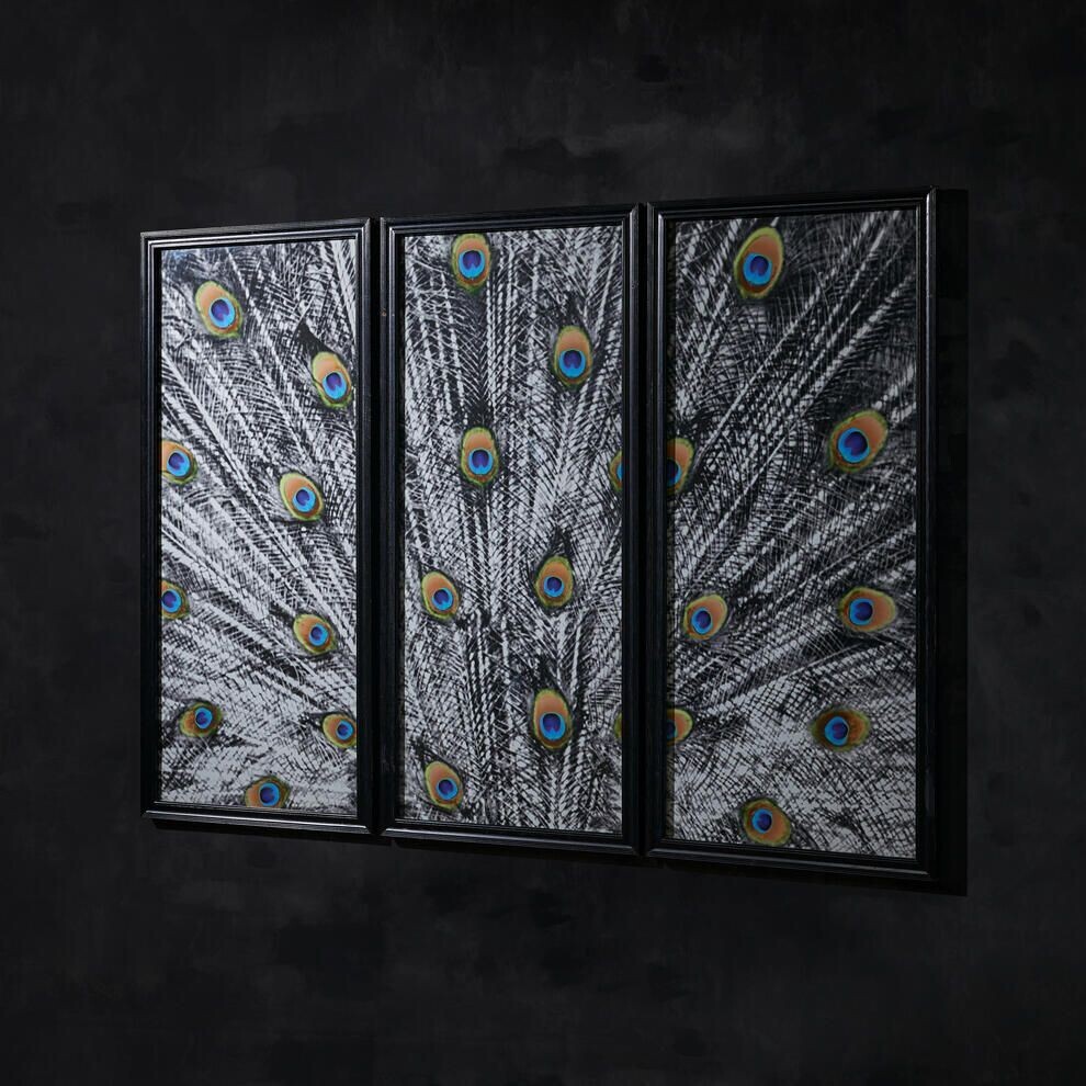 PEACOCK WALLART - RIGHT