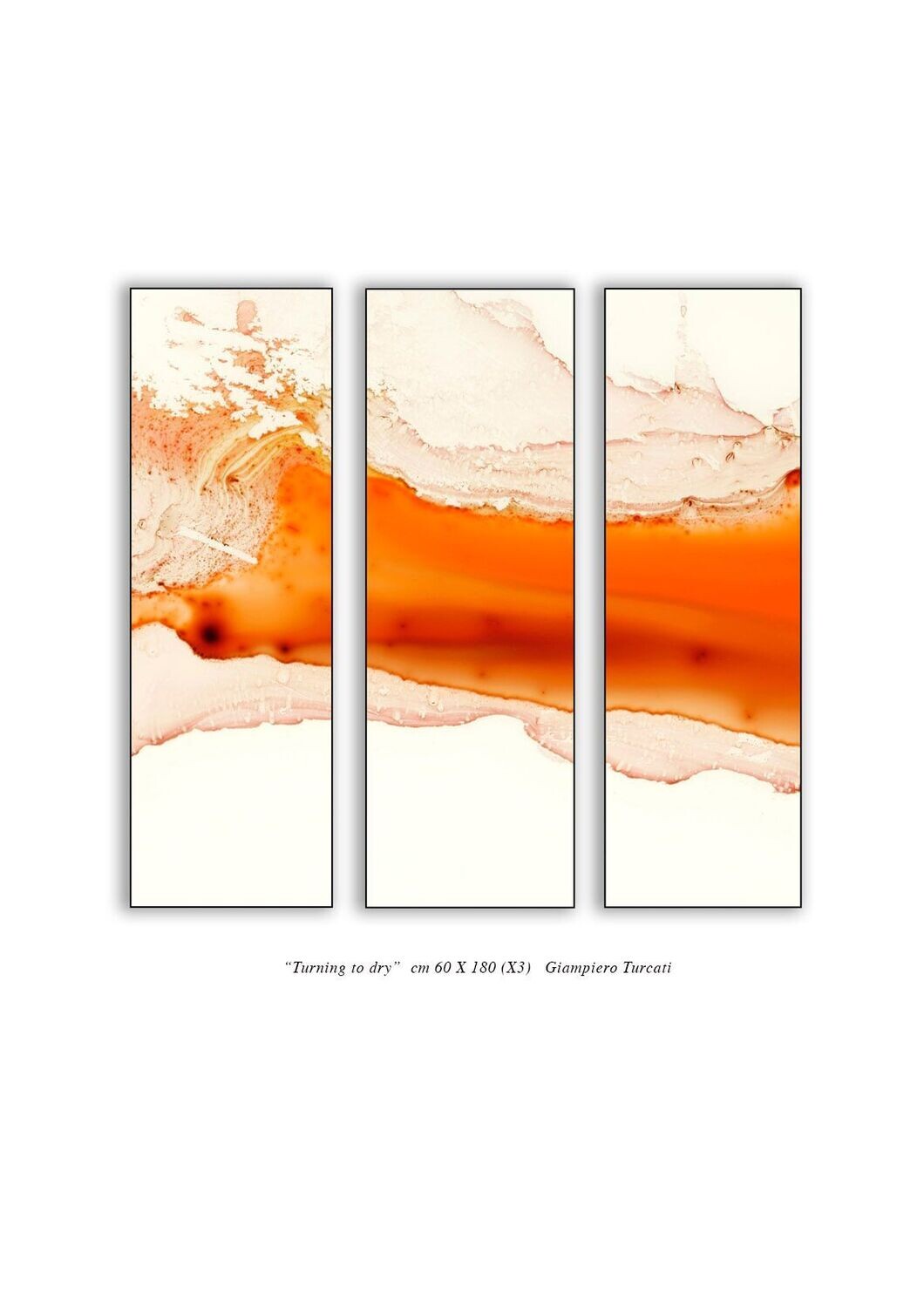 TURNING TO DRY - CANVAS