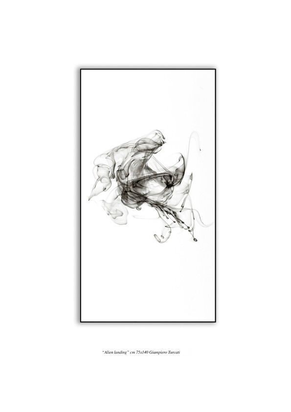 ALIEN LANDING - FLUID