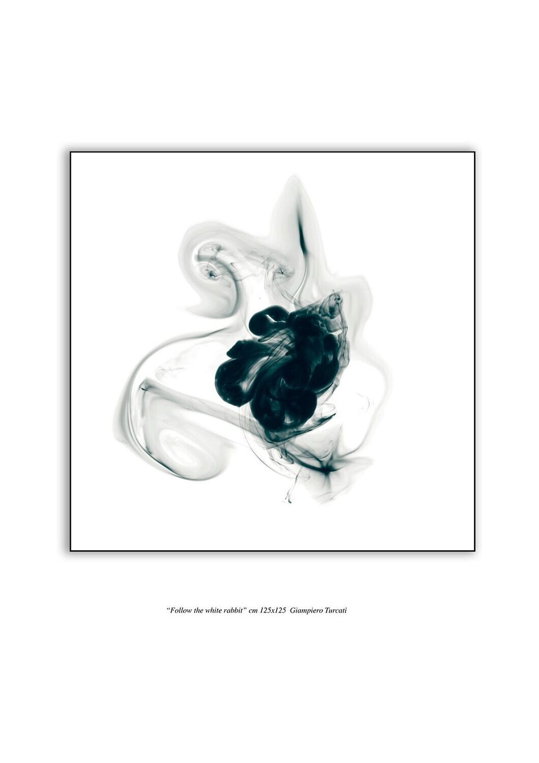 FOLLOW THE WHITE - FLUID