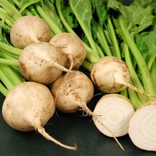 Beetroot, Avalanche Beetroot, Avalanche