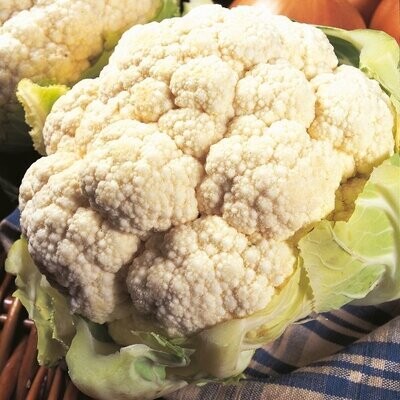 Cauliflower, All The Year Round