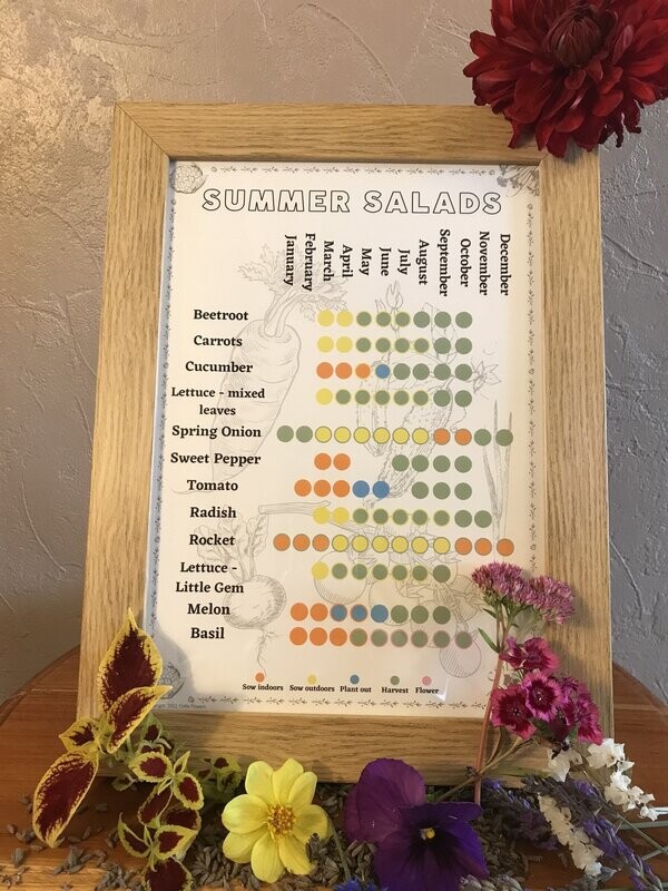 Summer Salads: Seed Calendar
