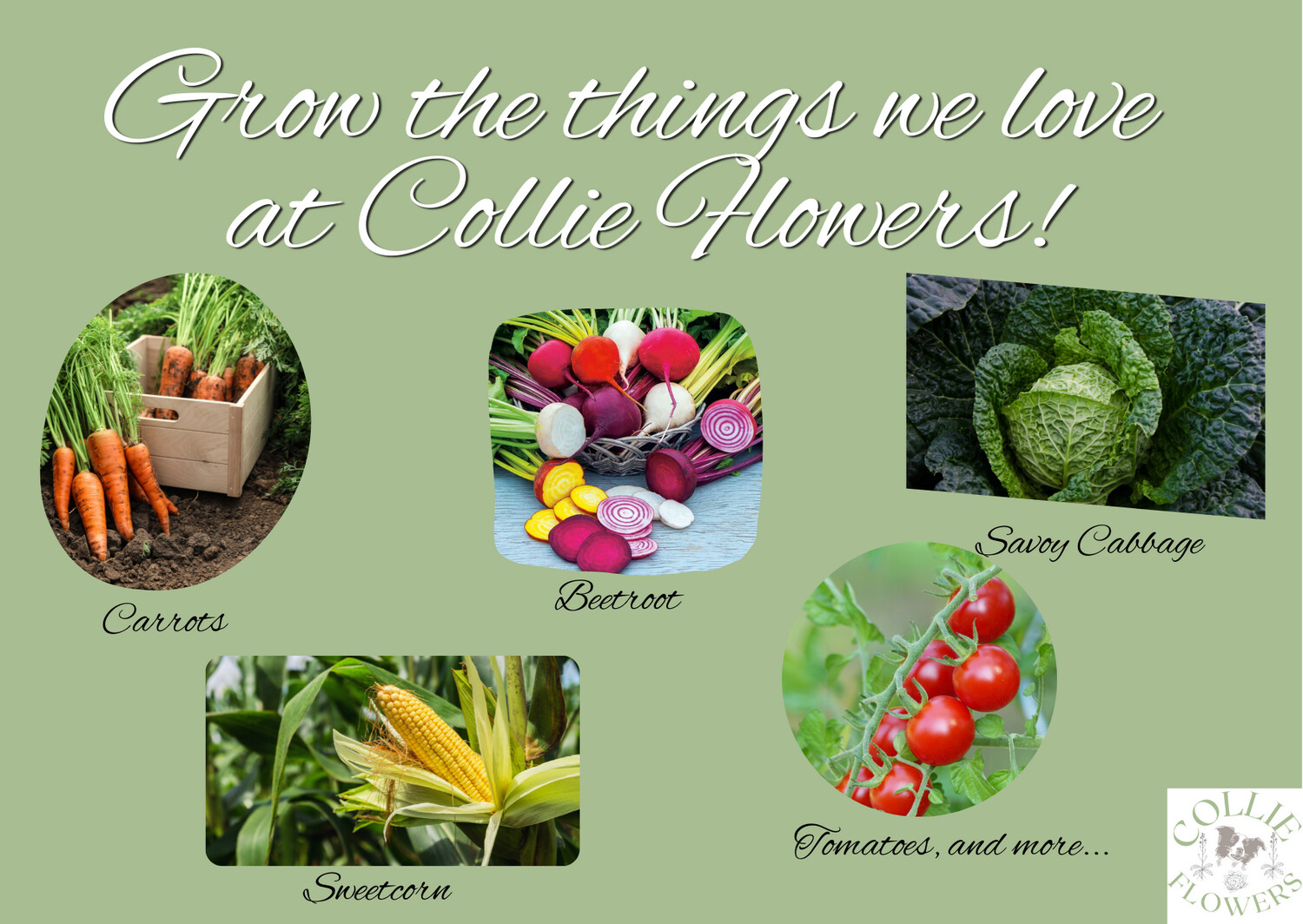 Collie Flowers Favourites (Vegetables): Seed Calendar