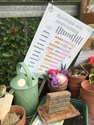Flowers for Containers: Seed Calendar