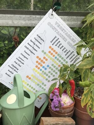 Vegetables for Container Growing: Seed Calendar