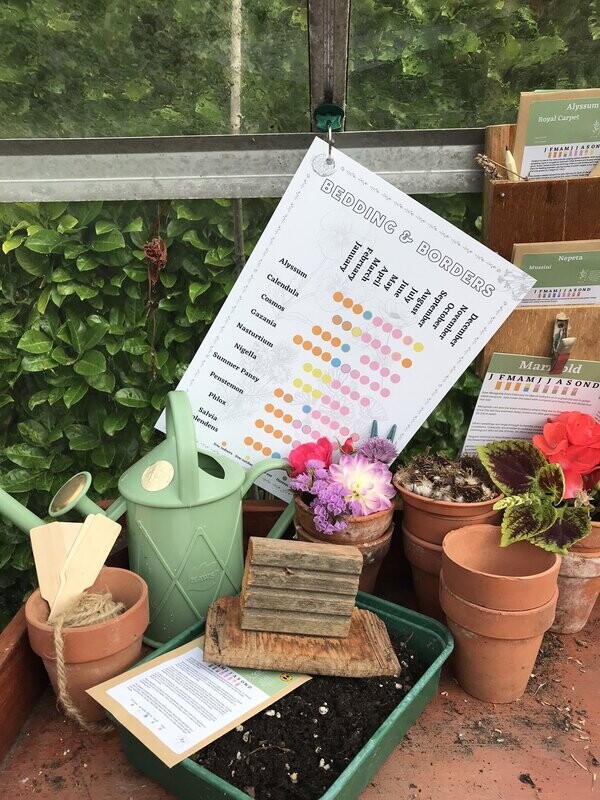 Bedding & Borders: Seed Calendar