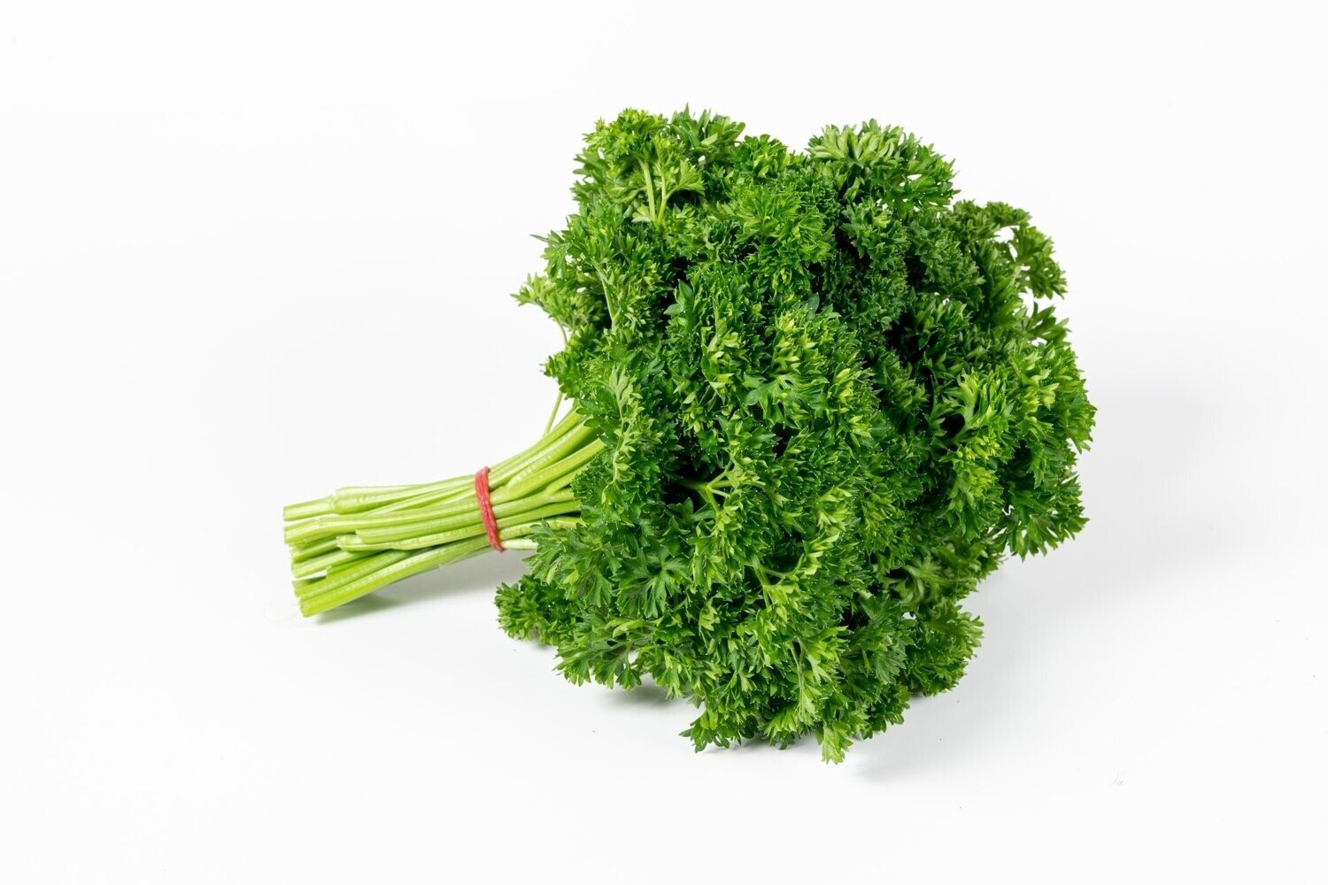 Chervil, Curled