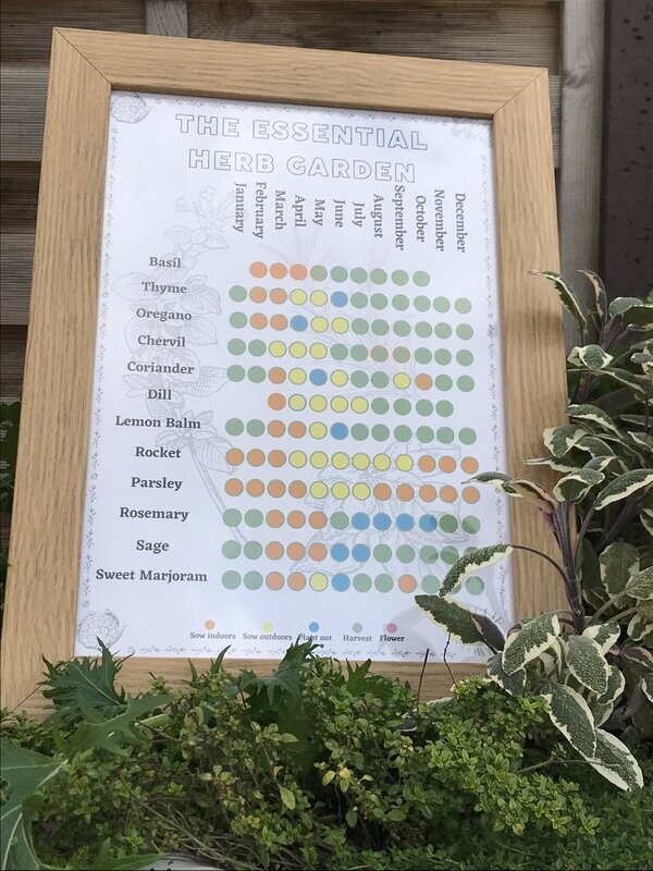 The Essential Herb Garden: Seed Calendar