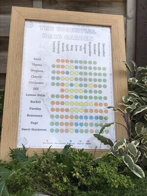 The Essential Herb Garden: Seed Calendar