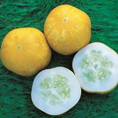Cucumber, Crystal Lemon